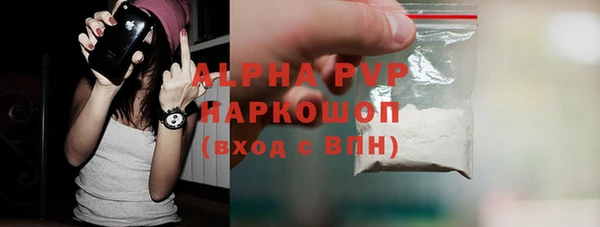 Альфа ПВП Бородино