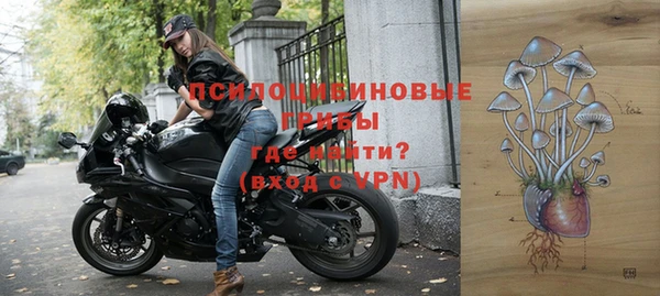 Альфа ПВП Бородино