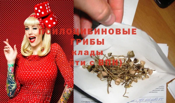 Альфа ПВП Бородино