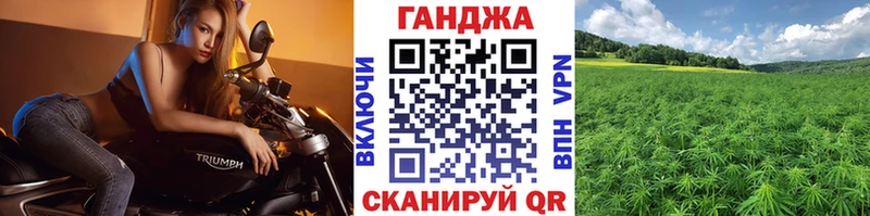 Канабис OG Kush  Дудинка 